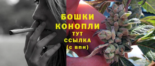 крисы Арсеньев