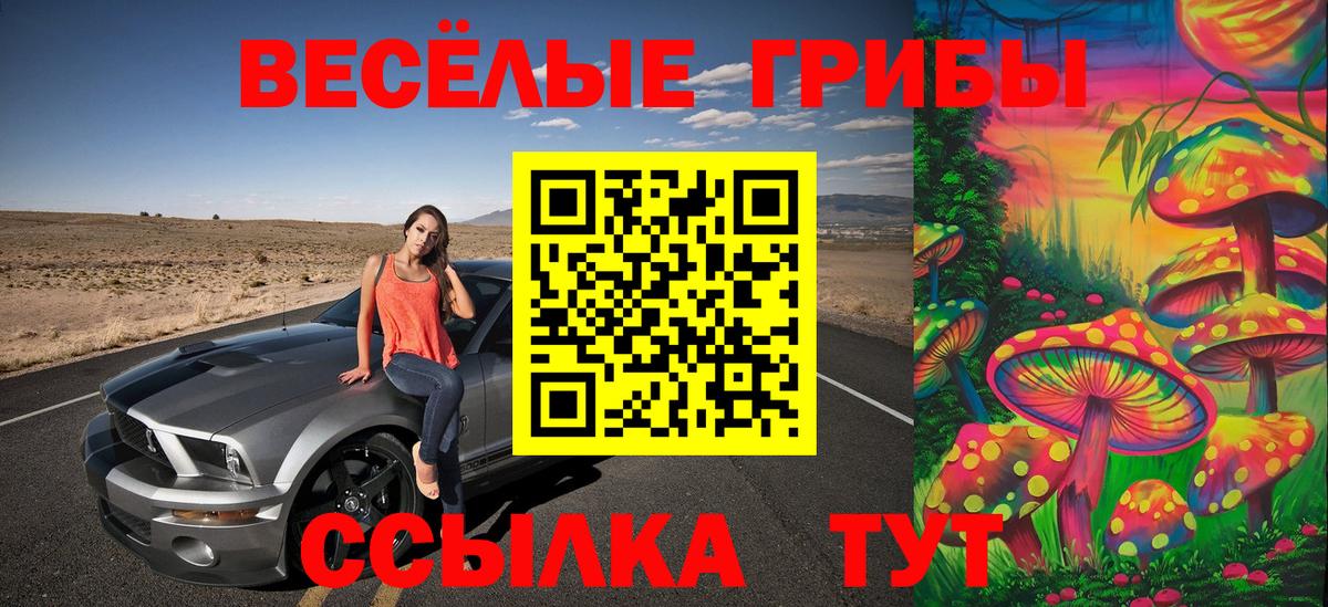Псилоцибиновые грибы мицелий Луховицы